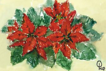 Weihnachtsstern
