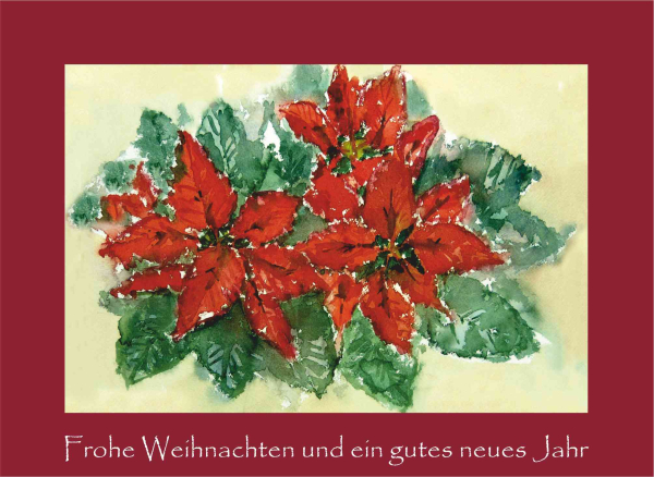 Weihnachtskarte Weihnachtsstern-rot
